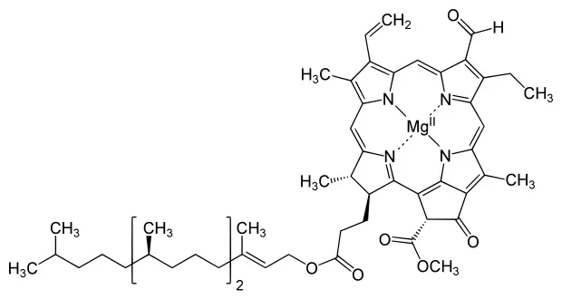 Chemical structure of chlorophyll b